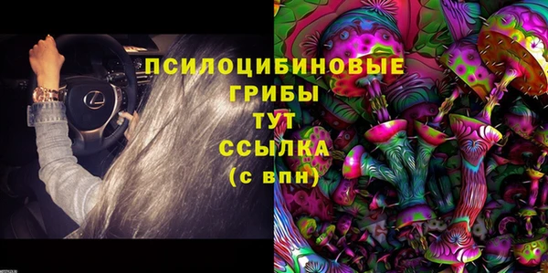 прущая мука Каменка