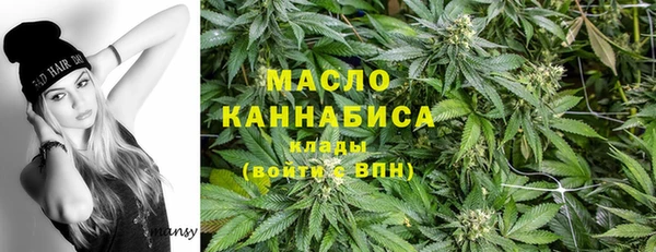соль ск Каменногорск