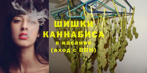 прущая мука Каменка